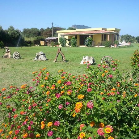 Villa Paola Valledoria  Ngoại thất bức ảnh