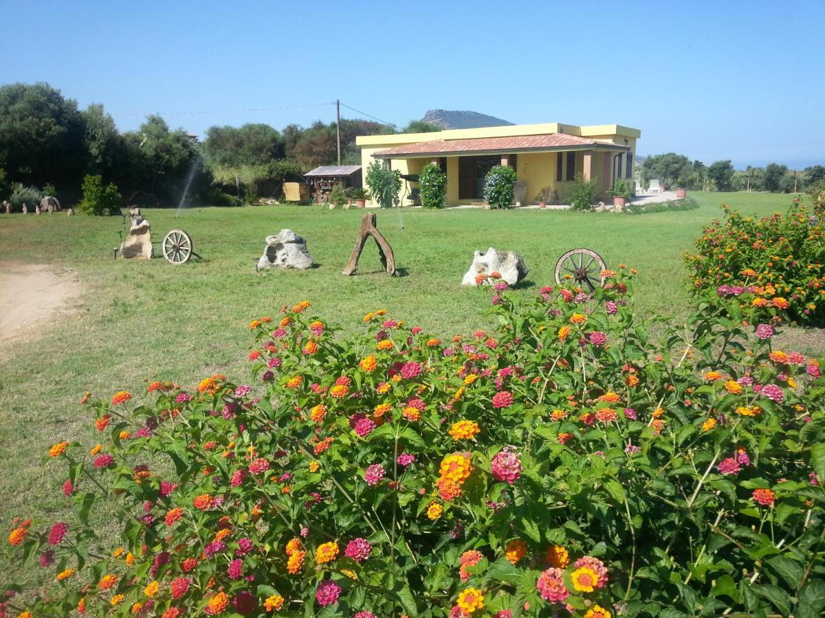 Villa Paola Valledoria  Ngoại thất bức ảnh